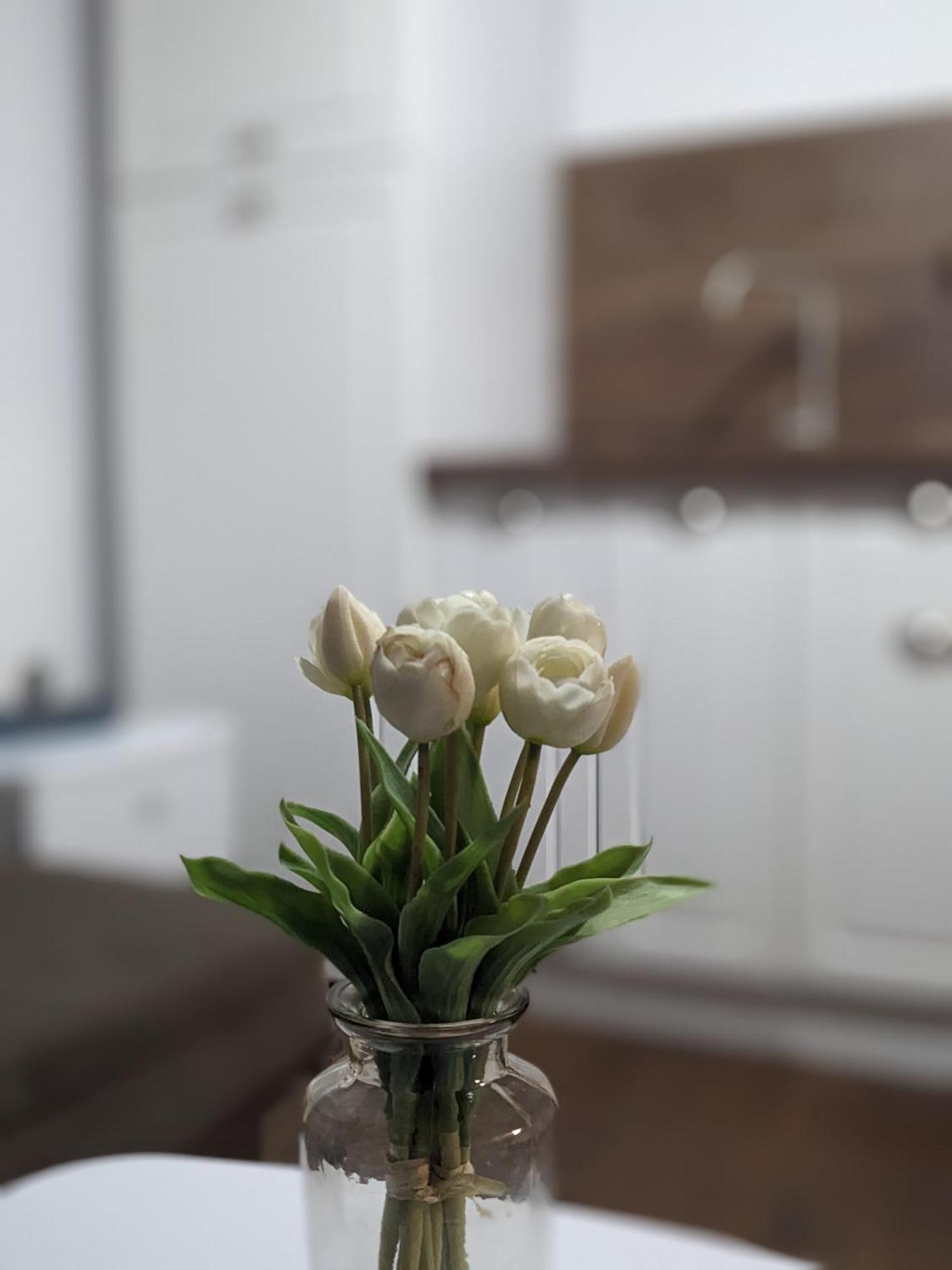 Honey I'M Home Apartments Veliko Tărnovo Esterno foto